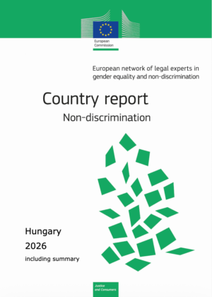A screenshot of the cover of the report.