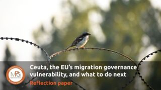 An photo of a sparrow sitting on a barbed wire with the words "Ceuta, the EU's migration governance vulnerability and what to do next" superimposed on it along with the subtitle “Reflection paper” and the logo of MPG.