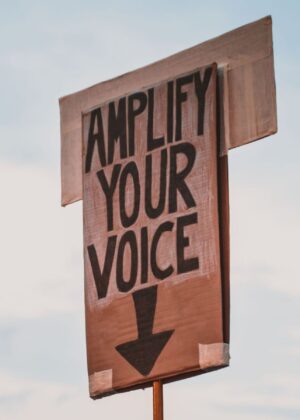 A photo of a big carton sign from a demonstration reading "Amplify your voice" in block letters, handwritten with black marker. The sign is visible against the background of a dusky sky with some trees and a house out of focus at the bottom. The MPG logo is superimposed in the top left corner.